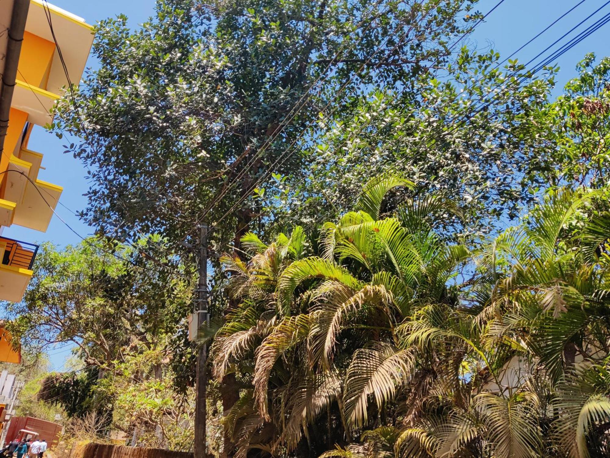 Sai Guru Guest House Anjuna Esterno foto